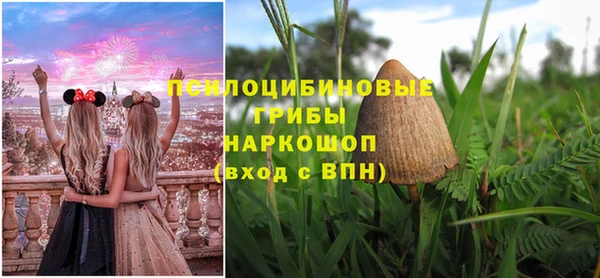 молекула духа Инсар